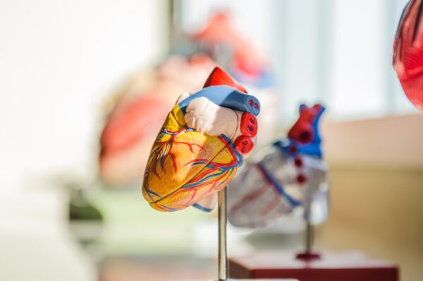 Anatomy, Physiology and Pathology July 8 - August 16